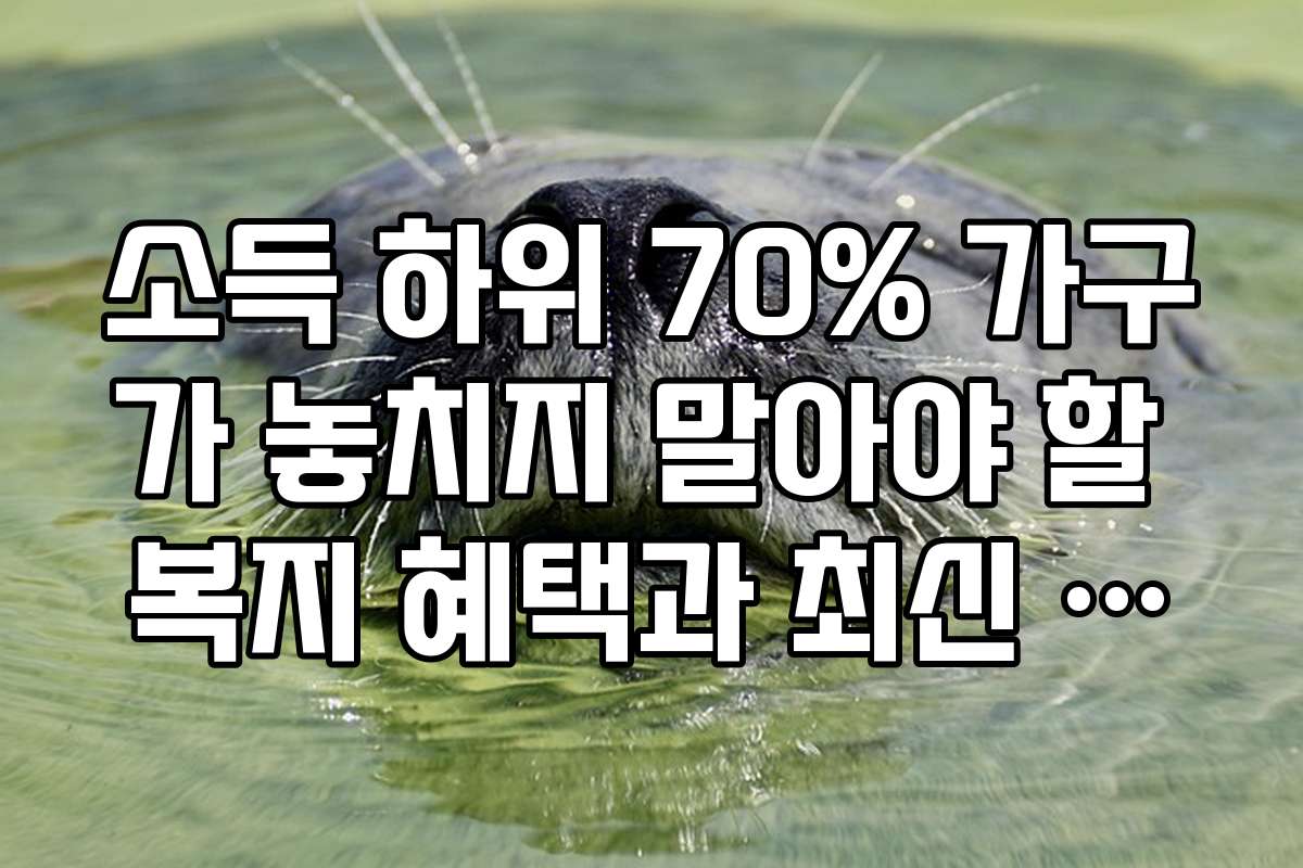 소득 하위 70% 가구가 놓치지 말아야 할 복지 혜택과 최신 소식