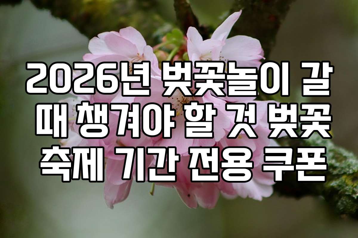 2026년 벚꽃놀이 갈 때 챙겨야 할 것 벚꽃 축제 기간 전용 쿠폰