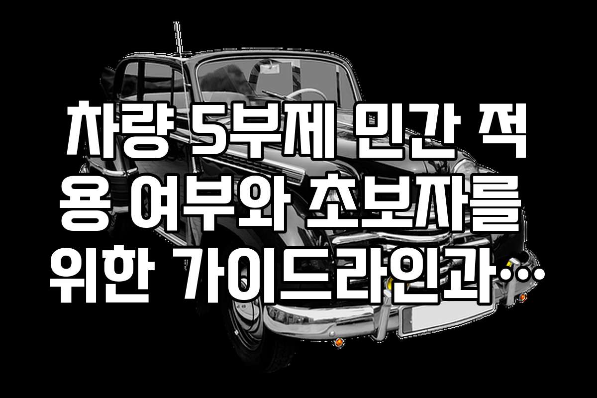 차량 5부제 민간 적용 여부와 초보자를 위한 가이드라인과 꿀팁