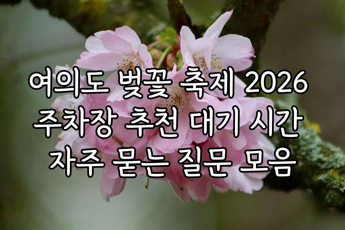 여의도 벚꽃 축제 2026 주차장 추천 대기 시간 자주 묻는 질문 모음
