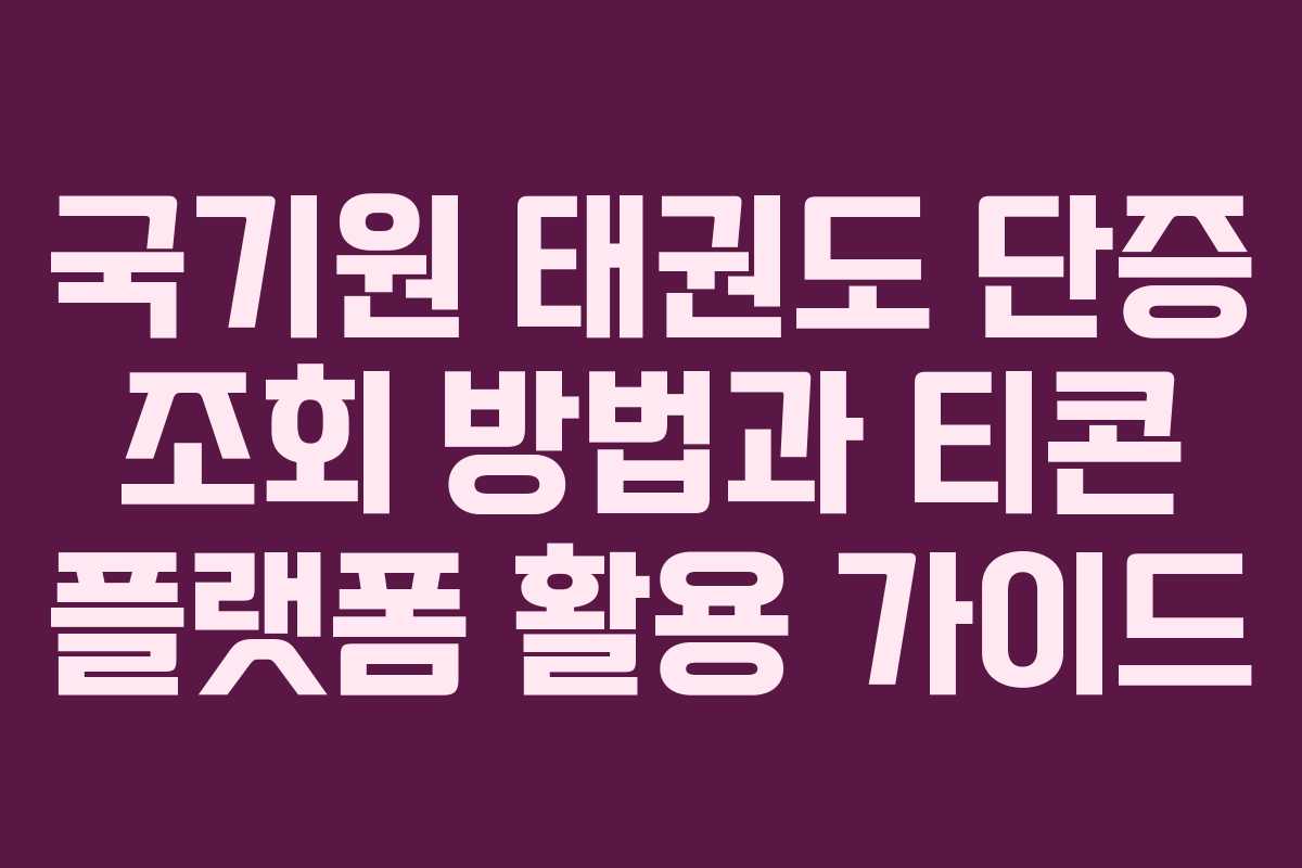 국기원 태권도 단증 조회 방법과 티콘 플랫폼 활용 가이드