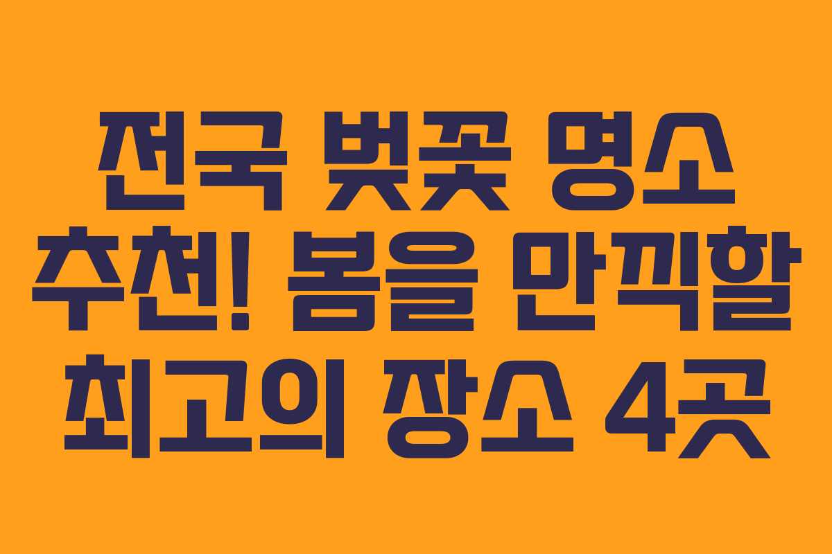 전국 벚꽃 명소 추천! 봄을 만끽할 최고의 장소 4곳