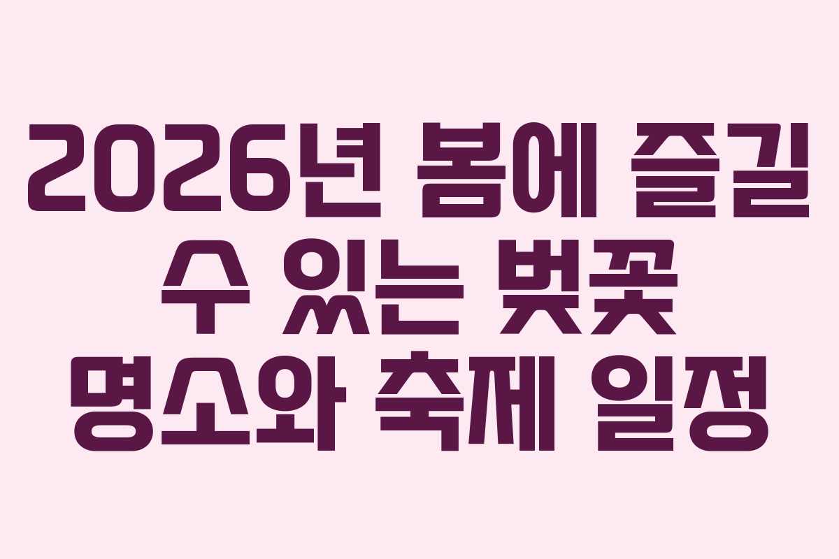 2026년 봄에 즐길 수 있는 벚꽃 명소와 축제 일정