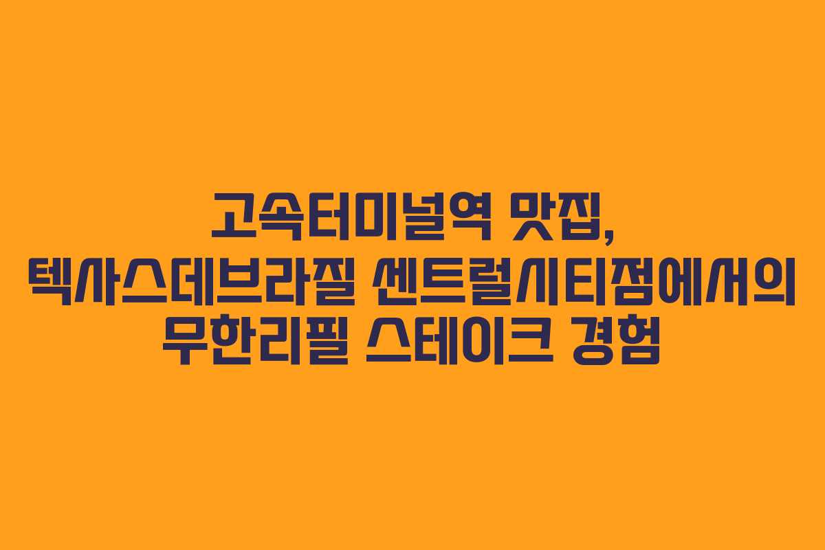 고속터미널역 맛집, 텍사스데브라질 센트럴시티점에서의 무한리필 스테이크 경험