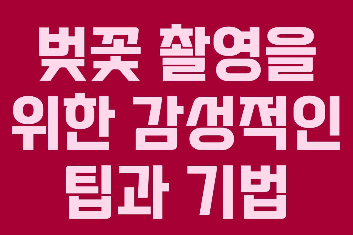 벚꽃 촬영을 위한 감성적인 팁과 기법