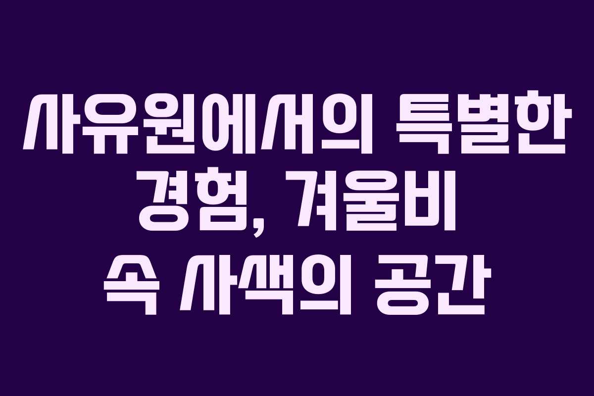 사유원에서의 특별한 경험, 겨울비 속 사색의 공간