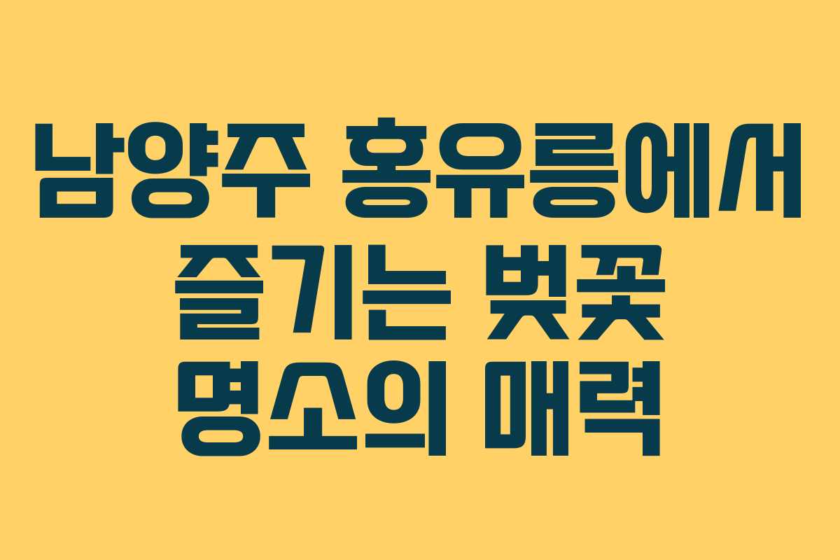 남양주 홍유릉에서 즐기는 벚꽃 명소의 매력