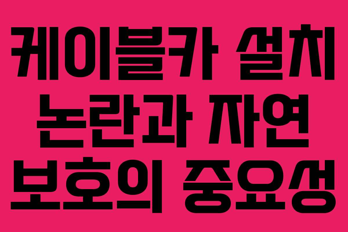 케이블카 설치 논란과 자연 보호의 중요성