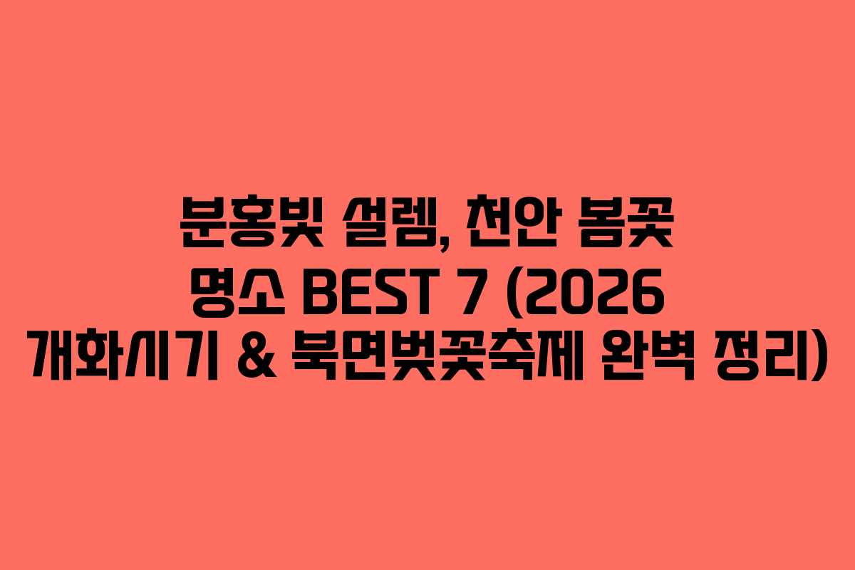 분홍빛 설렘, 천안 봄꽃 명소 BEST 7 (2026 개화시기 & 북면벚꽃축제 완벽 정리)