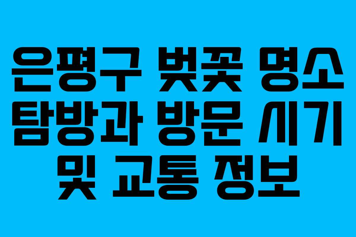 은평구 벚꽃 명소 탐방과 방문 시기 및 교통 정보