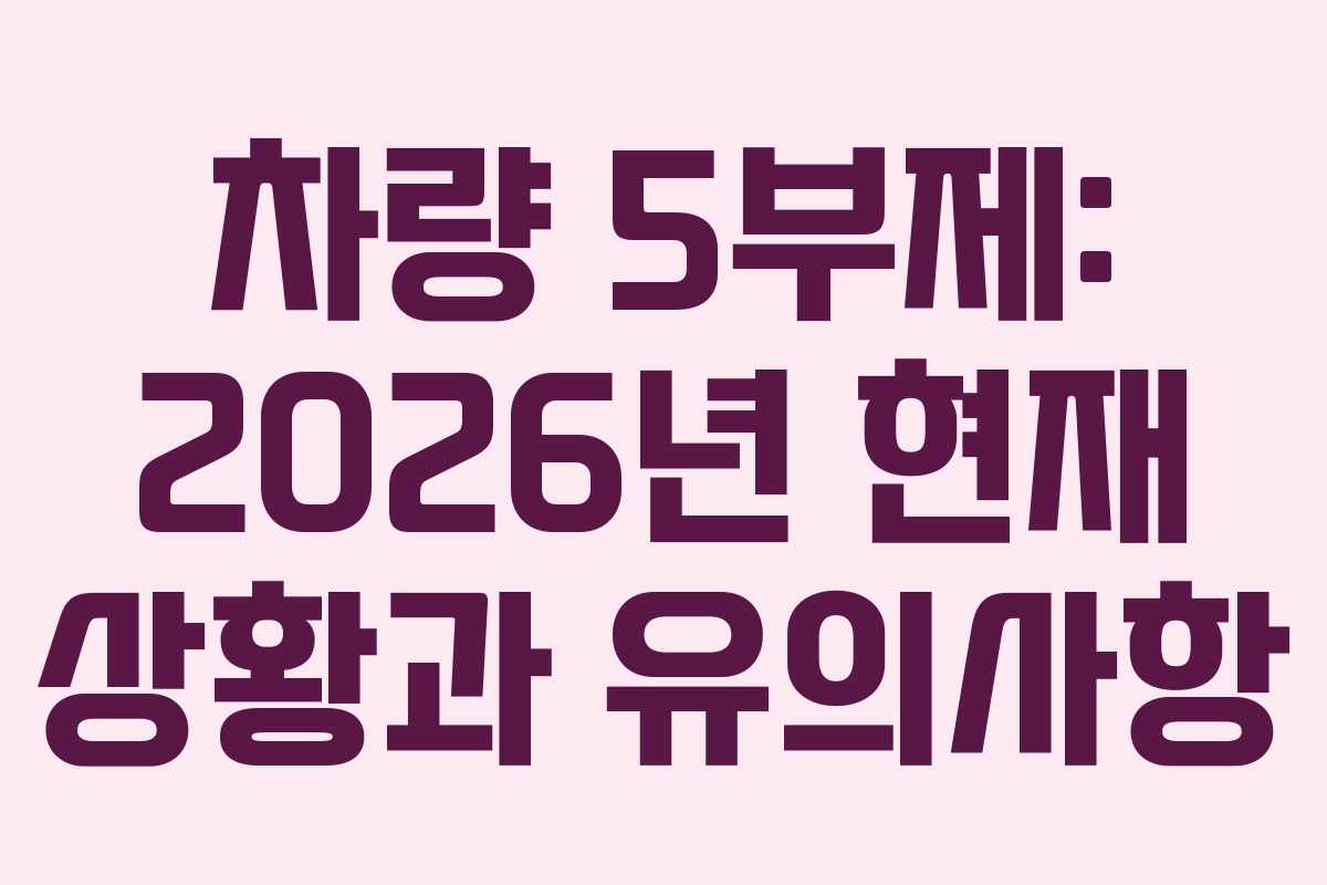 차량 5부제: 2026년 현재 상황과 유의사항