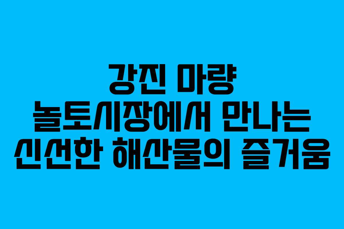 강진 마량 놀토시장에서 만나는 신선한 해산물의 즐거움