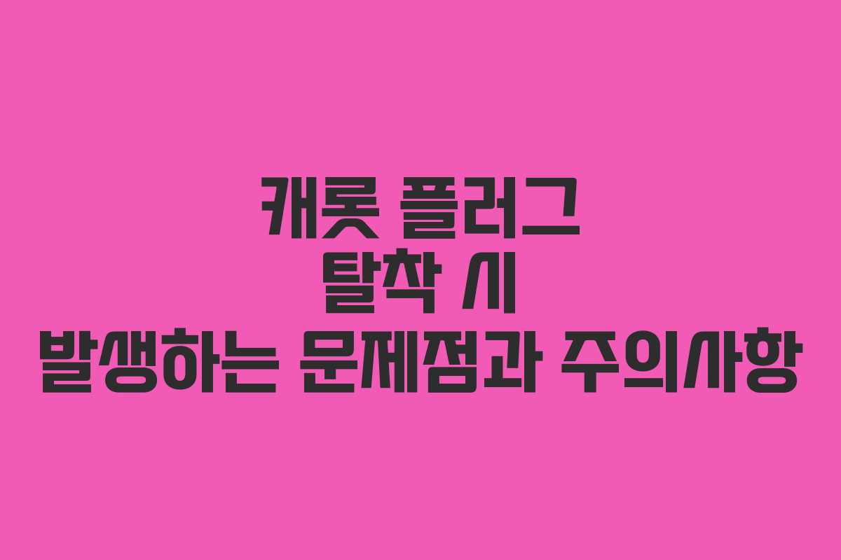 캐롯 플러그 탈착 시 발생하는 문제점과 주의사항