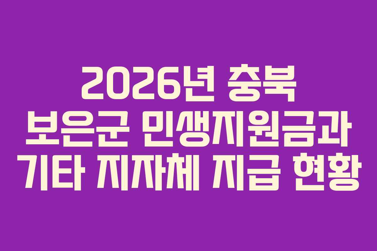 2026년 충북 보은군 민생지원금과 기타 지자체 지급 현황