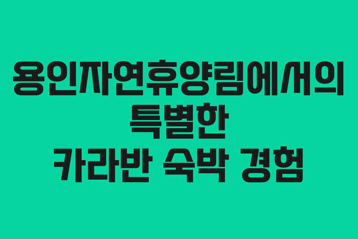 용인자연휴양림에서의 특별한 카라반 숙박 경험