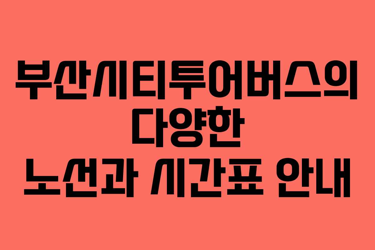 부산시티투어버스의 다양한 노선과 시간표 안내