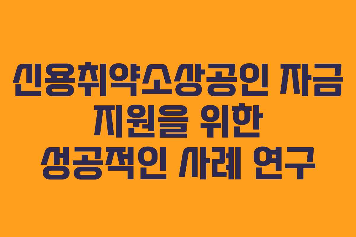 신용취약소상공인 자금 지원을 위한 성공적인 사례 연구