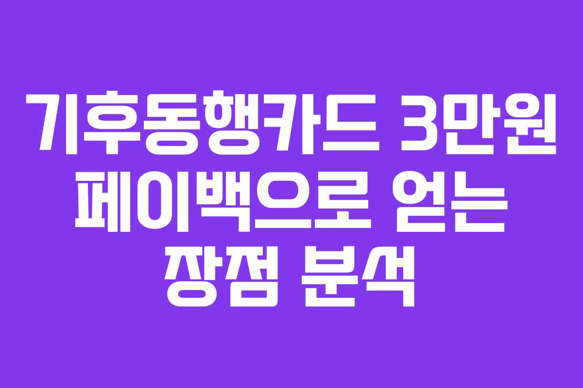 기후동행카드 3만원 페이백으로 얻는 장점 분석