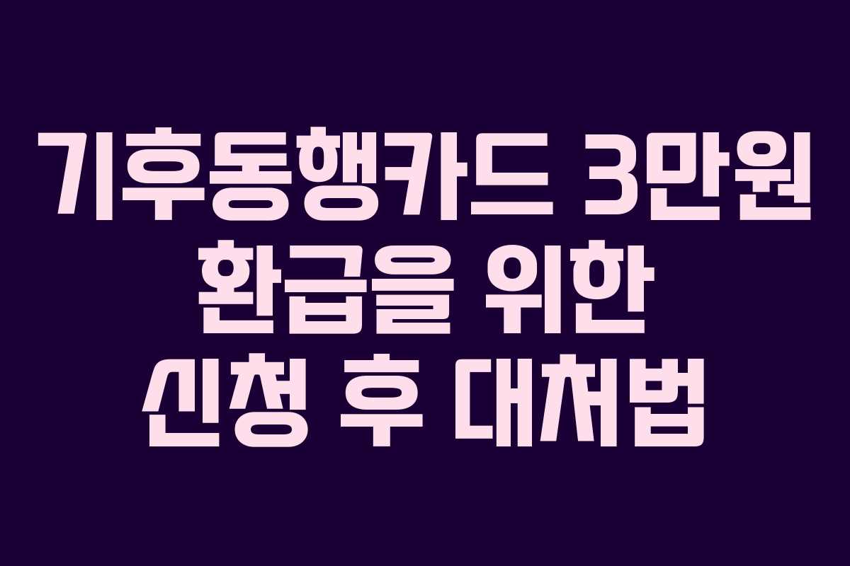 기후동행카드 3만원 환급을 위한 신청 후 대처법