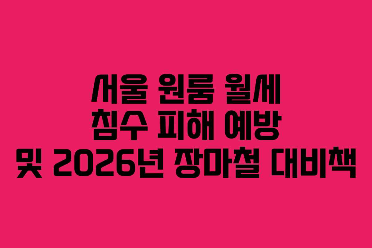 서울 원룸 월세 침수 피해 예방 및 2026년 장마철 대비책