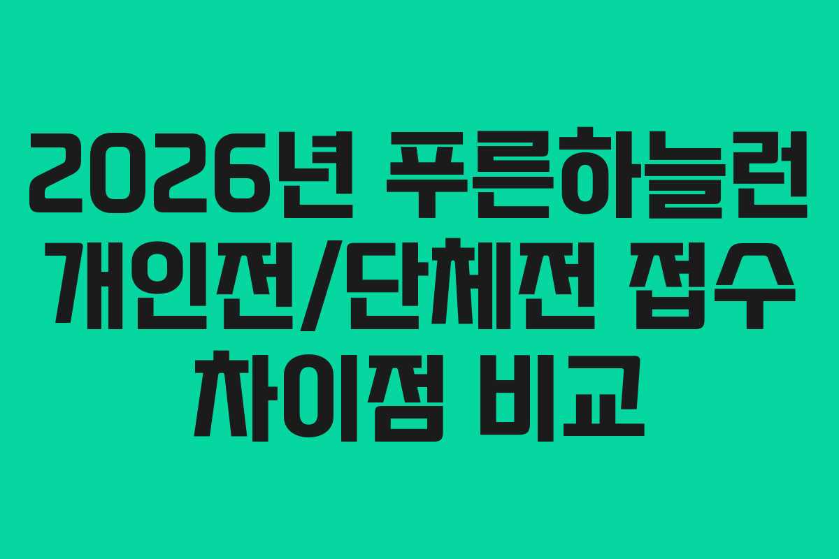 2026년 푸른하늘런 개인전/단체전 접수 차이점 비교