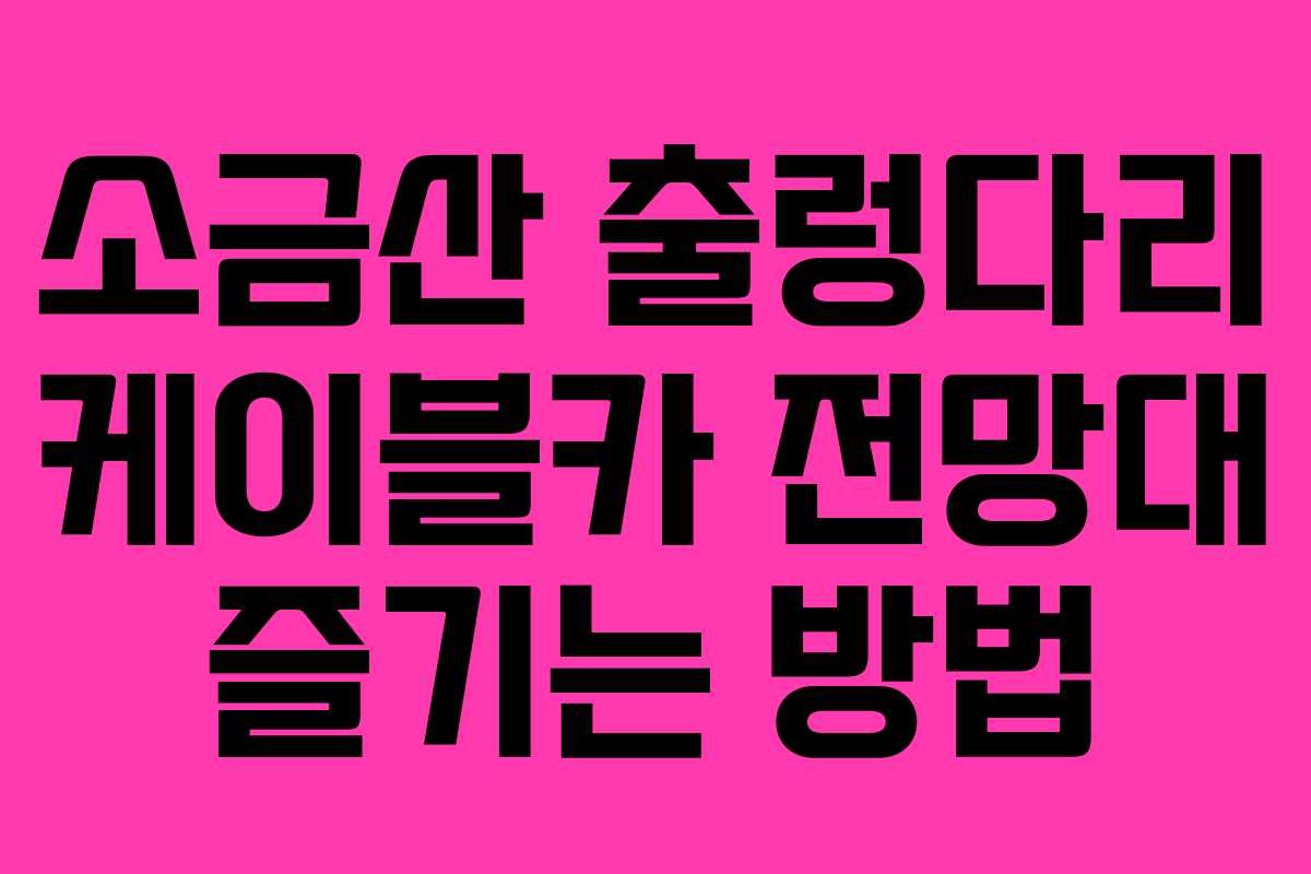 소금산 출렁다리 케이블카 전망대 즐기는 방법