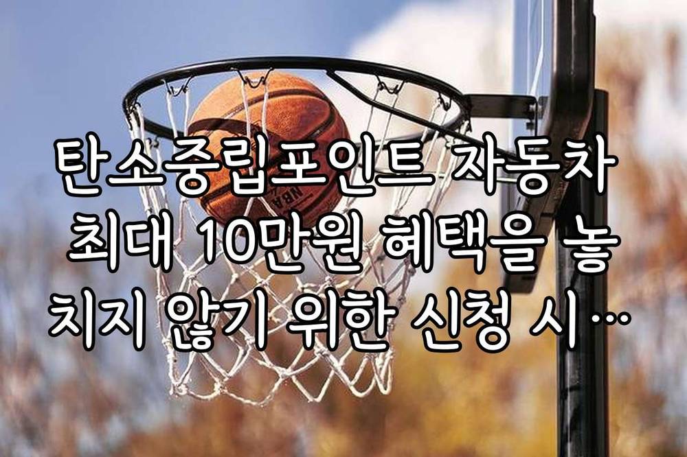 탄소중립포인트 자동차 최대 10만원 혜택을 놓치지 않기 위한 신청 시기와 일정