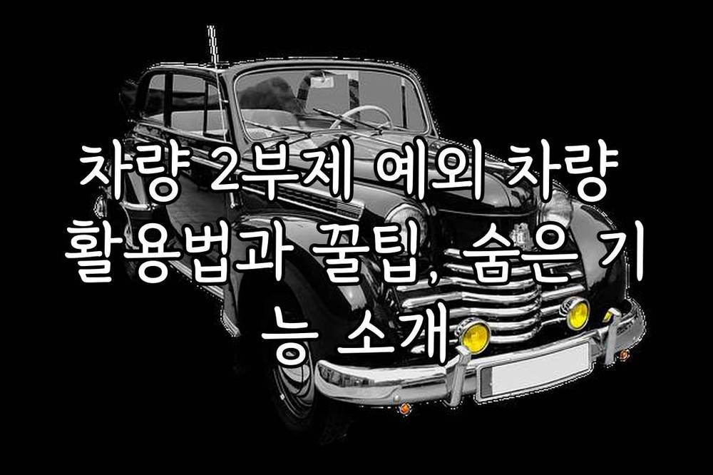 차량 2부제 예외 차량 활용법과 꿀팁, 숨은 기능 소개