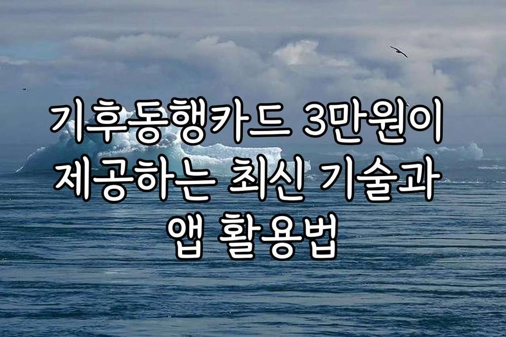 기후동행카드 3만원이 제공하는 최신 기술과 앱 활용법