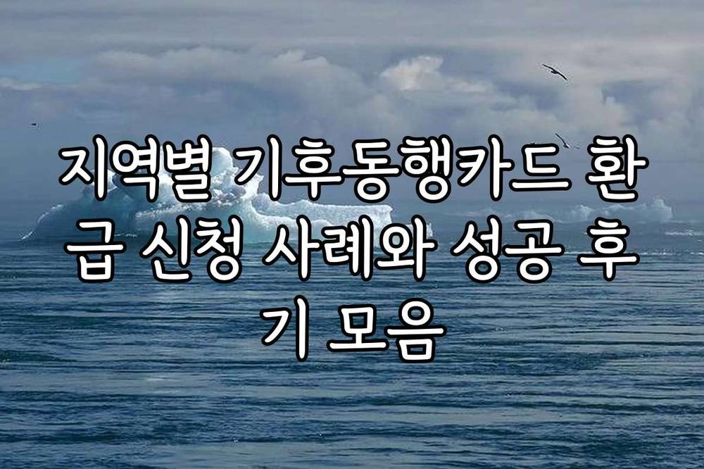 지역별 기후동행카드 환급 신청 사례와 성공 후기 모음