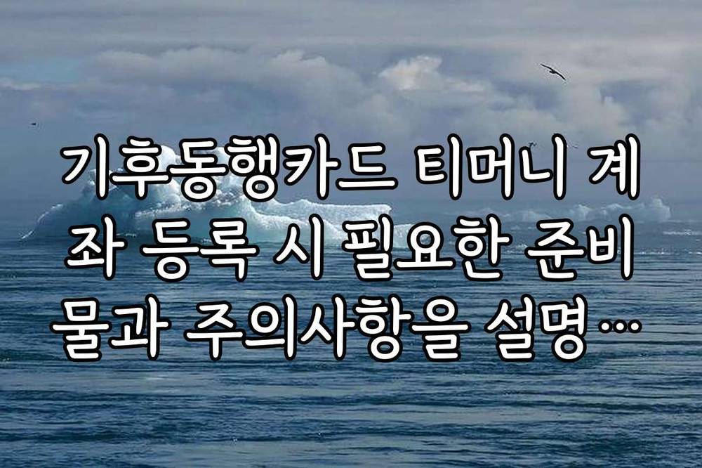 기후동행카드 티머니 계좌 등록 시 필요한 준비물과 주의사항을 설명합니다