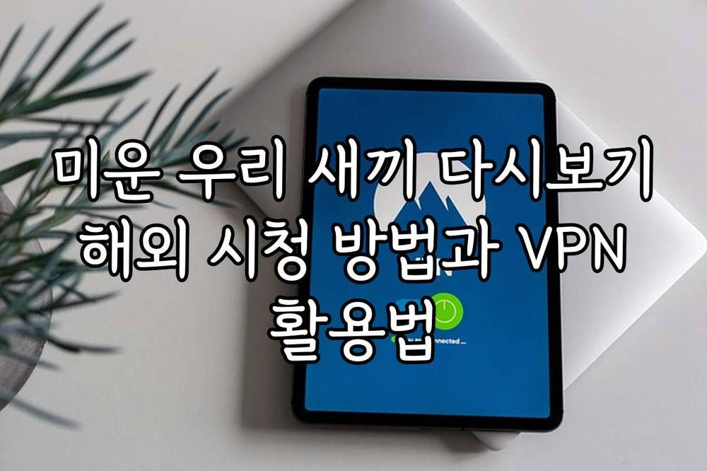 미운 우리 새끼 다시보기 해외 시청 방법과 VPN 활용법