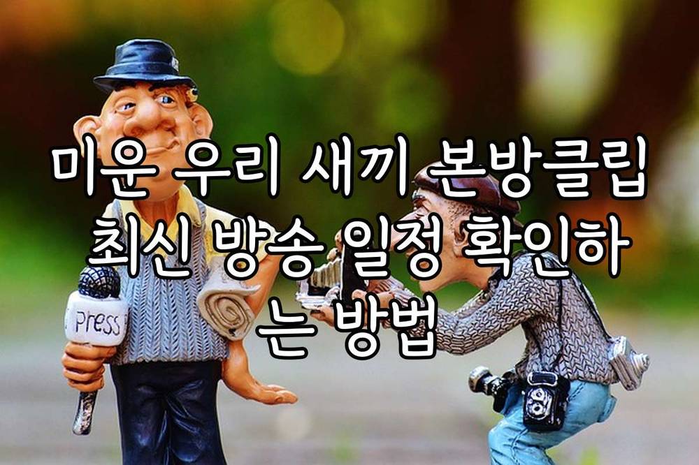 미운 우리 새끼 본방클립 최신 방송 일정 확인하는 방법