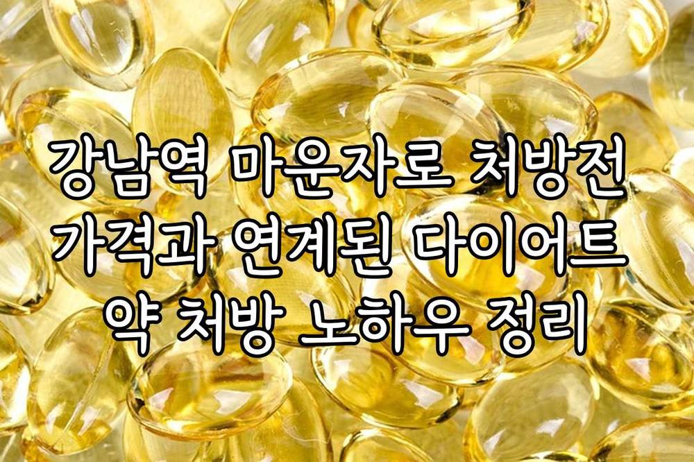 강남역 마운자로 처방전 가격과 연계된 다이어트 약 처방 노하우 정리