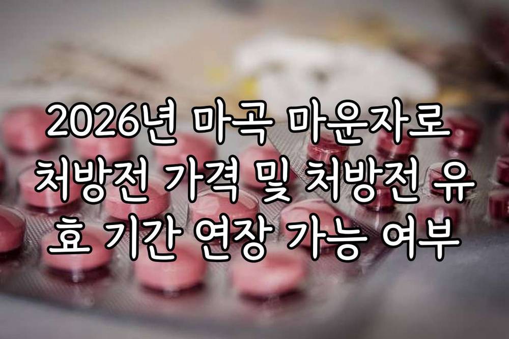 2026년 마곡 마운자로 처방전 가격 및 처방전 유효 기간 연장 가능 여부
