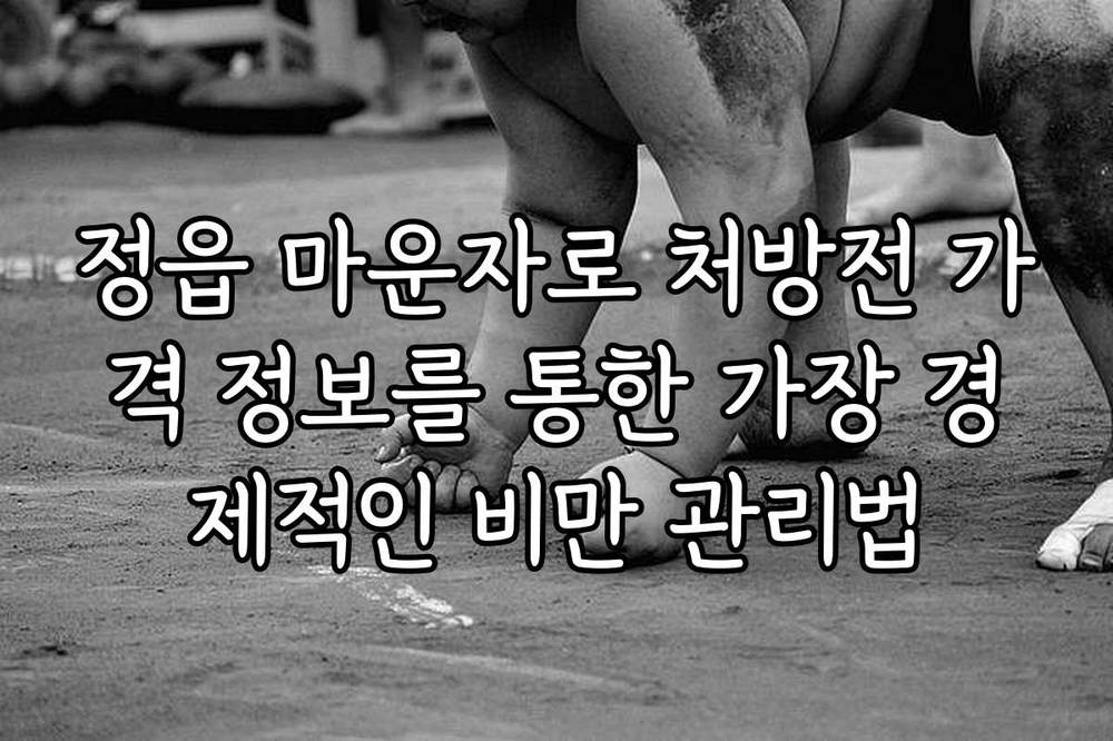 정읍 마운자로 처방전 가격 정보를 통한 가장 경제적인 비만 관리법