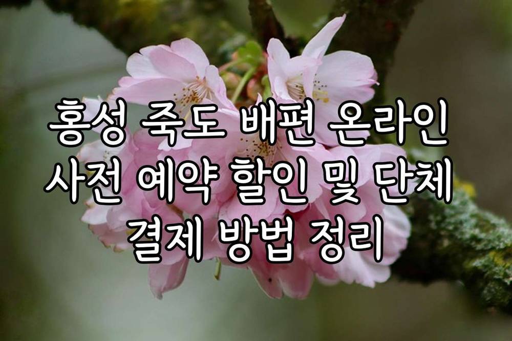 홍성 죽도 배편 온라인 사전 예약 할인 및 단체 결제 방법 정리