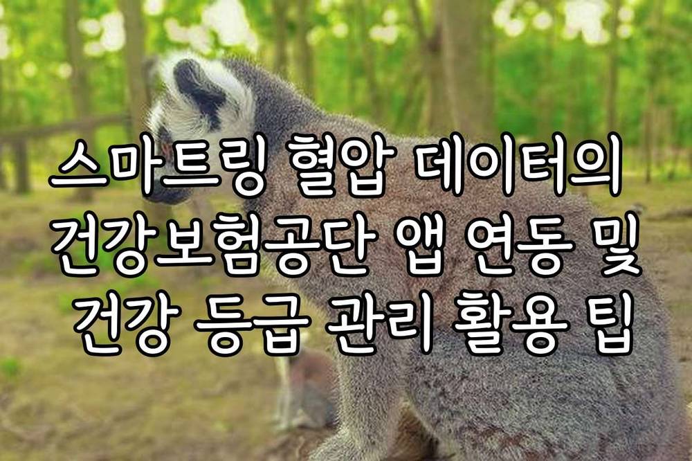 스마트링 혈압 데이터의 건강보험공단 앱 연동 및 건강 등급 관리 활용 팁
