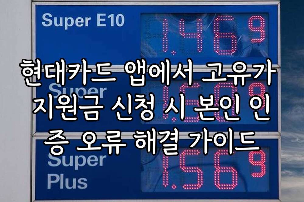 현대카드 앱에서 고유가 지원금 신청 시 본인 인증 오류 해결 가이드