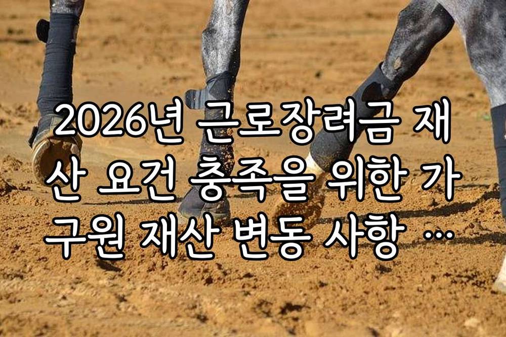 2026년 근로장려금 재산 요건 충족을 위한 가구원 재산 변동 사항 확인