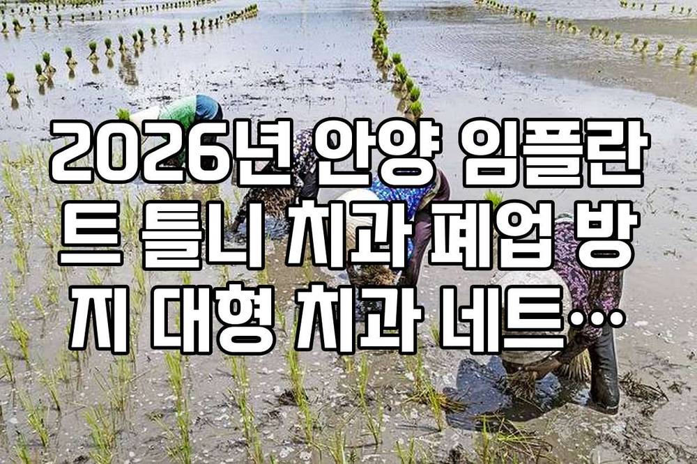 2026년 안양 임플란트 틀니 치과 폐업 방지 대형 치과 네트워크 확인법