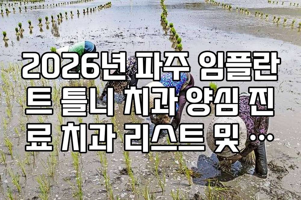 2026년 파주 임플란트 틀니 치과 양심 진료 치과 리스트 및 상담 팁