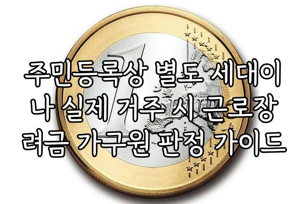 주민등록상 별도 세대이나 실제 거주 시 근로장려금 가구원 판정 가이드