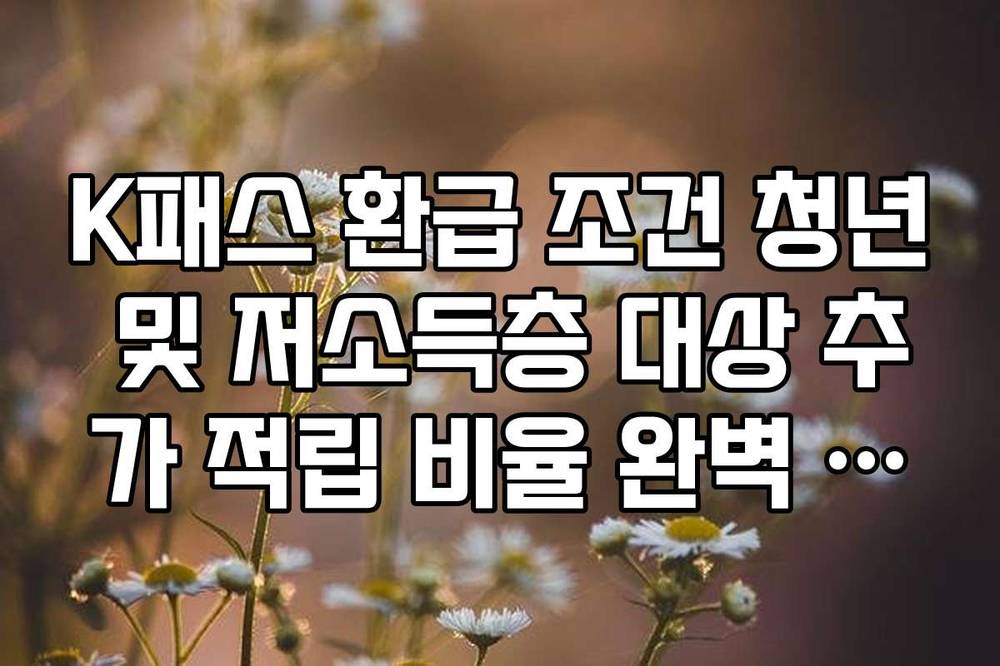 K패스 환급 조건 청년 및 저소득층 대상 추가 적립 비율 완벽 정리