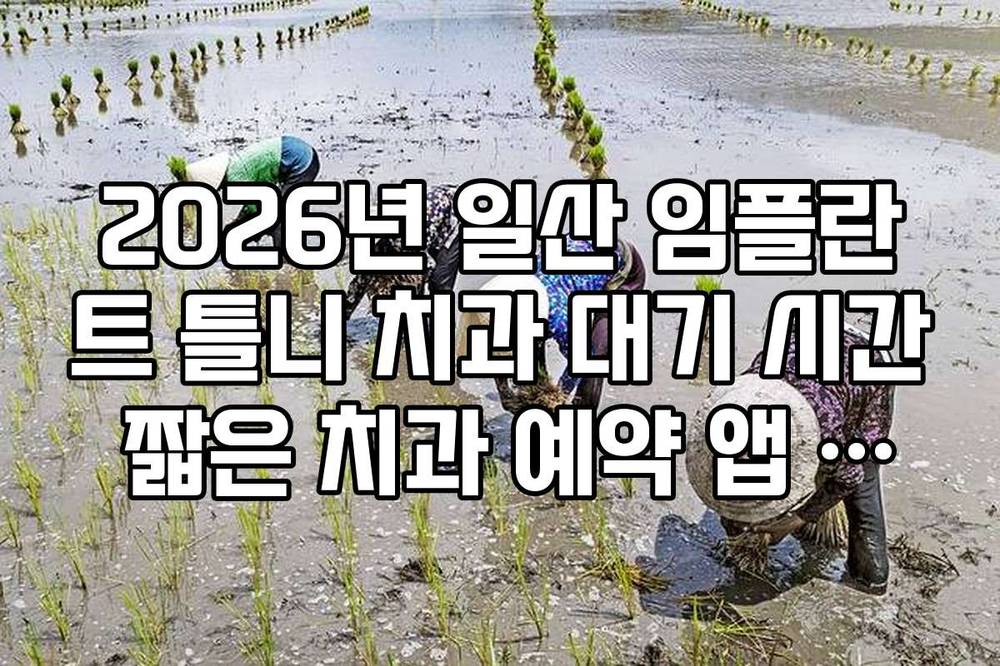 2026년 일산 임플란트 틀니 치과 대기 시간 짧은 치과 예약 앱 활용 팁