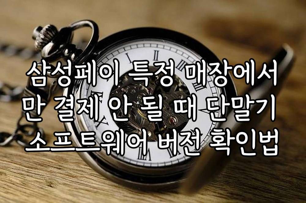 삼성페이 특정 매장에서만 결제 안 될 때 단말기 소프트웨어 버전 확인법