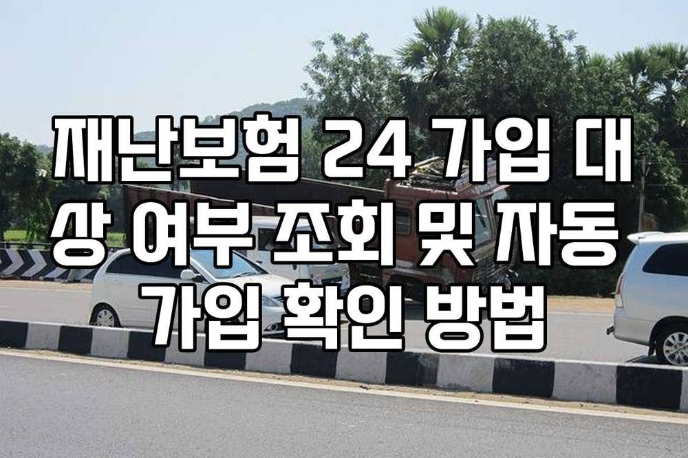 재난보험 24 가입 대상 여부 조회 및 자동 가입 확인 방법