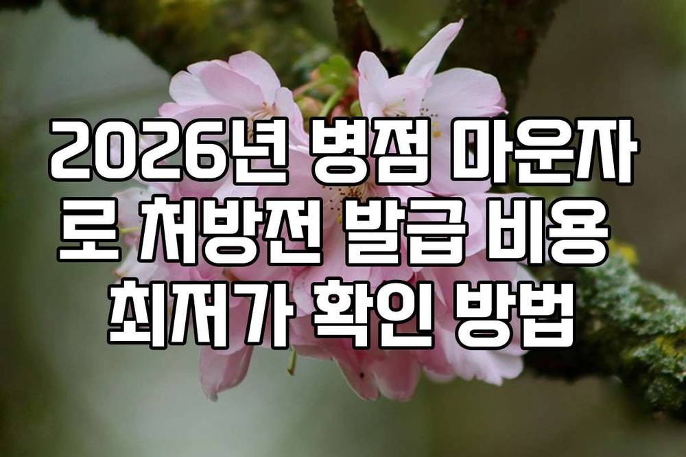 2026년 병점 마운자로 처방전 발급 비용 최저가 확인 방법