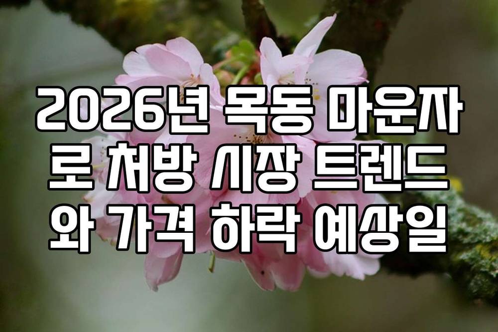 2026년 목동 마운자로 처방 시장 트렌드와 가격 하락 예상일