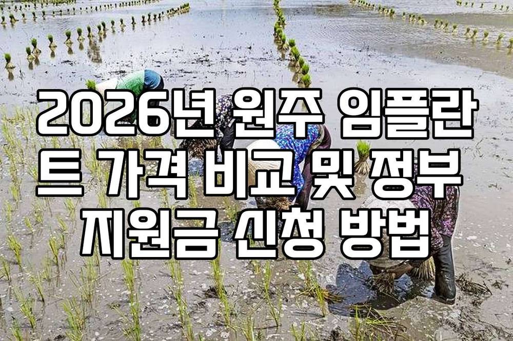 2026년 원주 임플란트 가격 비교 및 정부 지원금 신청 방법